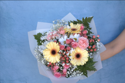 Gerberas pastel